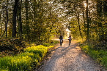 Obraz premium Biking in the forest 