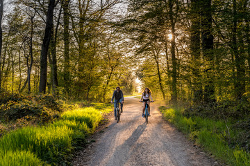 Biking in the forest
