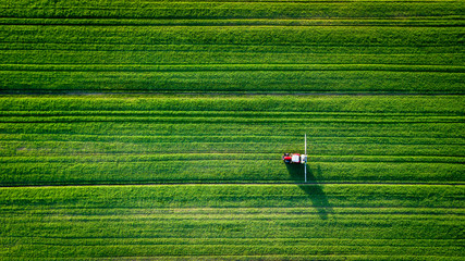 Straight lines field with a tractor spreading  © Benoit