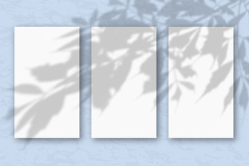 3 vertical sheets of white textured paper on a pastel blue wall background. Mockup with an overlay of plant shadows. Natural light casts shadows from the tree's foliage