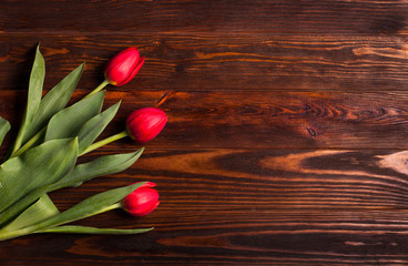 Fresh red tulips with green leaves on dark wooden background