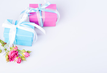 Two gift boxes blue and pink color with ribbon bow and fresh red roses on white background