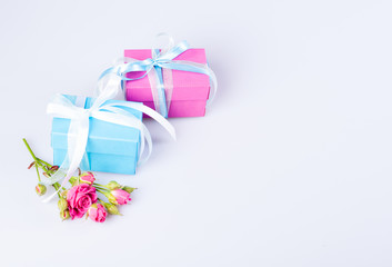 Two gift boxes blue and pink color with ribbon bow and fresh red roses on white background