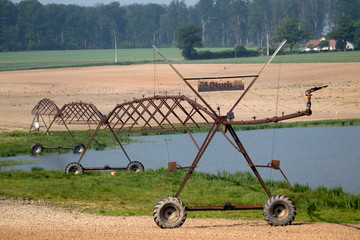 Paysage en foret de Troncais