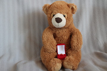 surprise the bear and the proposal