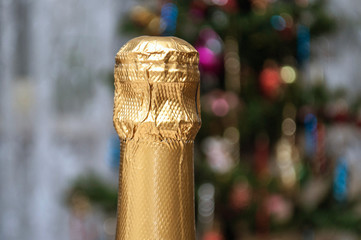 Fototapeta na wymiar Champagne cork