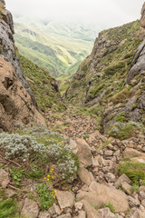 Sentinel Gully at the Amphitheatre in the Drakensberg