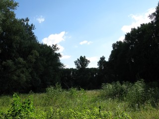 Obraz premium mountain landscape with blue sky