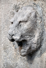 Fototapeta na wymiar Źródełko. Głowa lwa. Strumyczek wypływa z paszczy kamiennej głowy lwa.