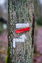 Fototapeta premium Paysage dans la vallee de Bievres
