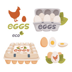 Set of chicken and quail eggs in different forms raw, boiled and fried and in carton boxes. Organic farm product, eco. Cooking ingredient. Flat style vector illustration.