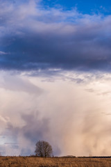 Fototapeta premium The shelf cloud of a severe storm is lit beautifully by light from the setting sun in this dramatic weather scene.
