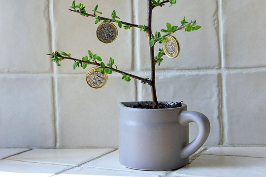 Pound Coins Hanging From Branches. Money Tree Concept.