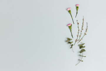 Composition with flowers and eucalyptus on a blue pastel background. Floral festive concept with copy space.