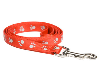 Red nylon dog lead or leash with paw print pattern isolated on white. Clipping path included.