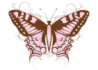 Fototapeta na wymiar kunstvoller Schmetterling in Rosa und Erdfarben