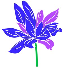 Hand Drawn Beautiful Decorative Flower, Element for design.