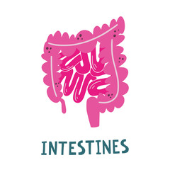 Vector isolated illustration of intestines with hand lettering. Colon, small intestine, appendix, rectum medical poster. Cute flat illustration of human internal organs.