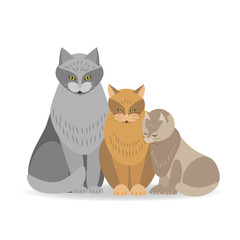 Three cats are sitting on the floor. Vector illustration in flat style.