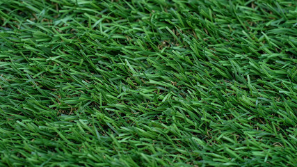 grass field for design
