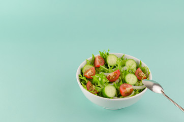 Salad bowl with frisee lettuce, baby tomato, cucumber, onion... Healthy foods concept
