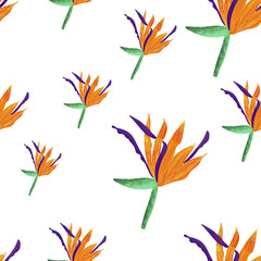 seamless pattern with tropical flowers on white background. Strelitzia botany summer print. Elegant pattern. packaging, wallpaper, textile design