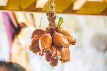 ancient country cuisine, traditional cuisine, ingredients, agricultural and hunting products, onions