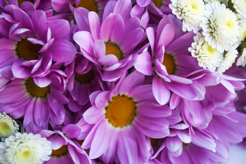 White and purple flowers, background. Bouquet.
