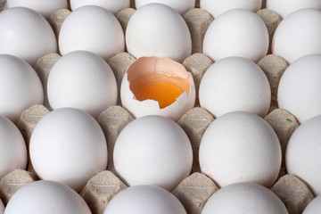 
White raw chicken eggs, side view. One egg is broken, yolk and protein are visible.