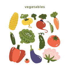 Set with hand drawn colorful doodle vegetables. Sketch style big vector collection. Flat icons set - carrot, tomato, root vegetables, cauliflower, paprika, eggplant and corn. Flat vector illustration