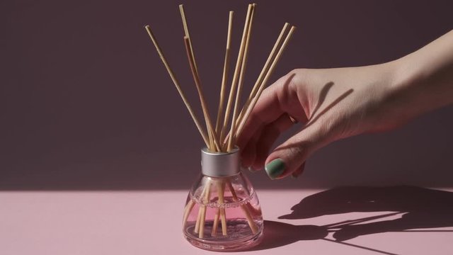 Aromatic reed air freshener on pink background hard shadow. Aromatherapy sticks. Air refresher bottle diffuser.