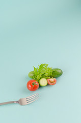 Sliced tomato and cucumber with lettuce. Ingredients of salad dish