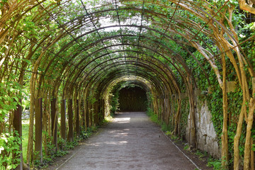 green tunnel, scenic area in the park