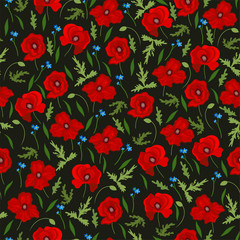 Seamless pattern with poppies and forget-me-nots. Vector graphics.