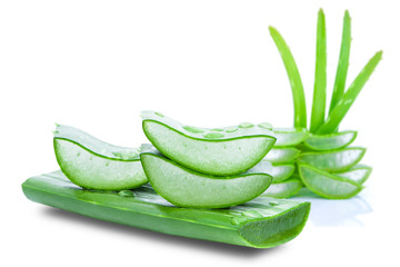 Closeup green fresh aloe vera leaf with water drops and cut slices isolated on white background. Natural herbal medicine plant, skin care, health care and beauty spa concept. 