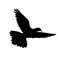 Icon of bird dove flying in sky. Flat cartoon character design. Black cute peace pigeon silhouette template. Vector illustration isolated on white background.