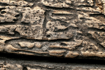 beautiful wooden texture with cracks