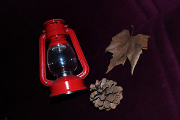 red sailor lighthouse cocoon acacia tree leaf on lilac background