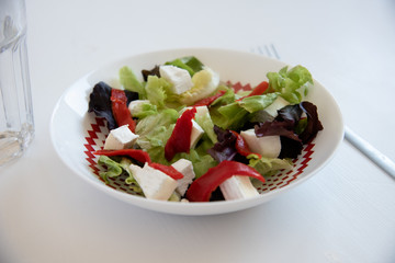 Salad in white background