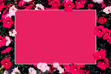 Creative layout made of pink and white flowers with paper card note. Flat lay. Nature concept