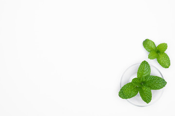 Glass bowl with fresh herbs - Mints isolated on white background.  For copy space.