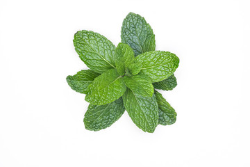 Fresh raw mint isolated on white background. For copy space.