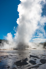 Backlit view of Castle Geyser erupting in Yellowstone National Park's Upper Geyser Basin