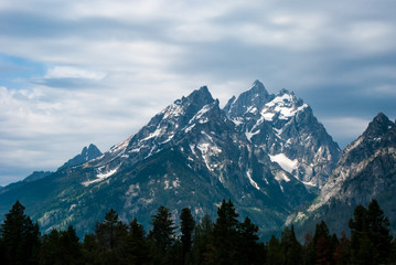 Mountains in the Teton range rising over the dark forest at their base