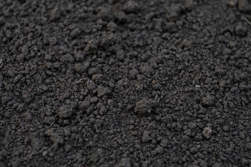 Dark soil in spring sunny day