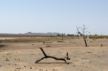 Parc national Kruger, Afrique du Sud