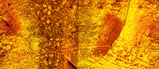 Cracked concrete wall covered with surface as background. Grunge background old wall. Lush lava old natural pattern. Color trendy 2020.