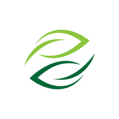 Green leaf logo vector design template