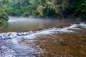 Mist Hanging Over Abrams Creek. Abrams Fall Trail,Great Smokey Mountains National Park, Tennessee, USA