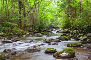Porter Creek Rushing Over Moss Covered Boulders In The Greenbrier Area,Great Smokey Mountains National Park, Tennessee, USA